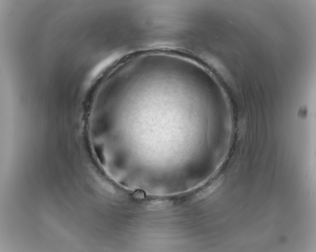 X0000090481406200707272309