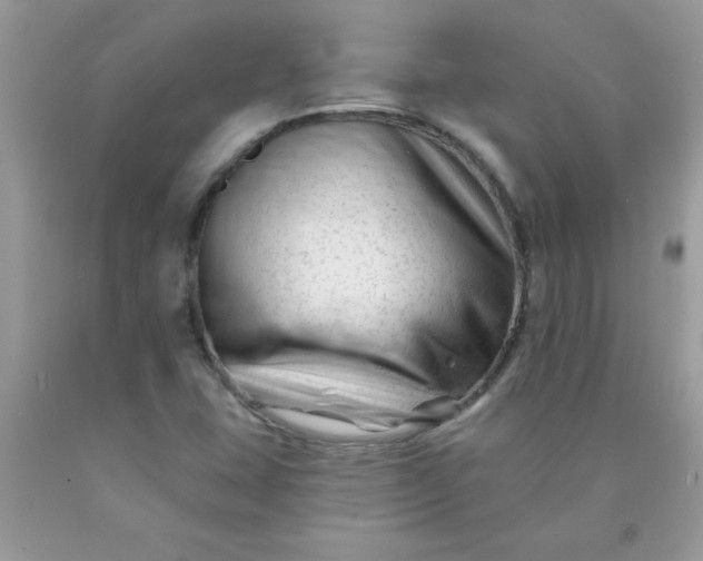 X0000090481407200707272309