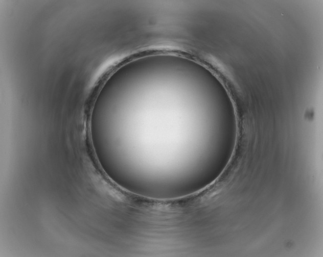 X0000090481408200707272309