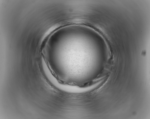 X0000090481410200707272309