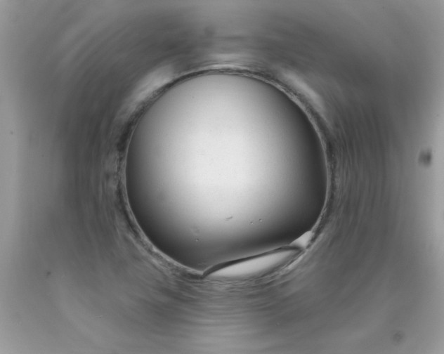 X0000090481411200707272309