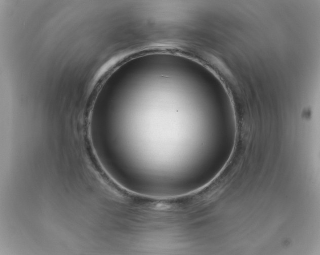 X0000090481412200707272309