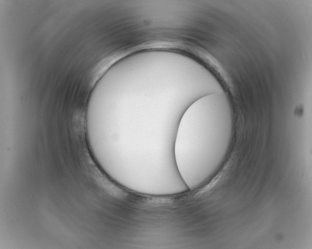 X0000090481417200707272309