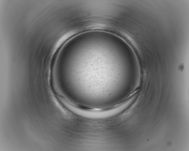 X0000090481418200707272309