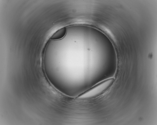 X0000090481419200707272309