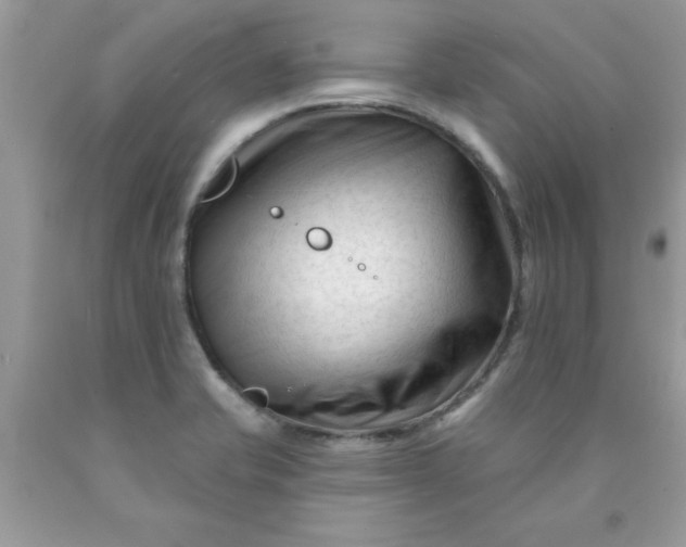 X0000090481421200707272310