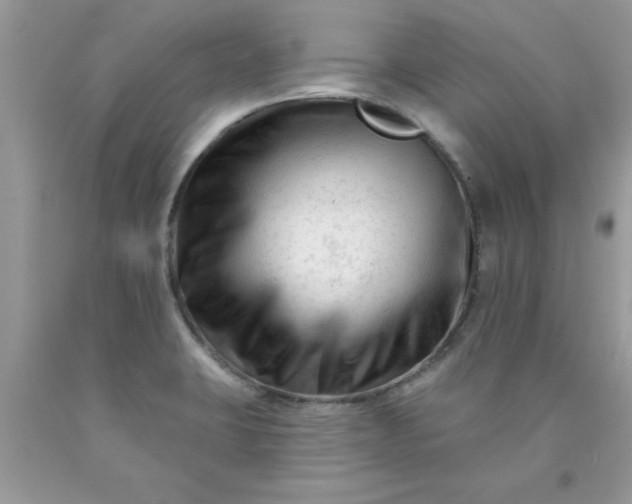 X0000090481423200707272310