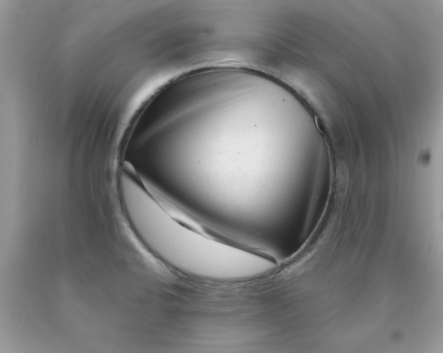 X0000090481424200707272310