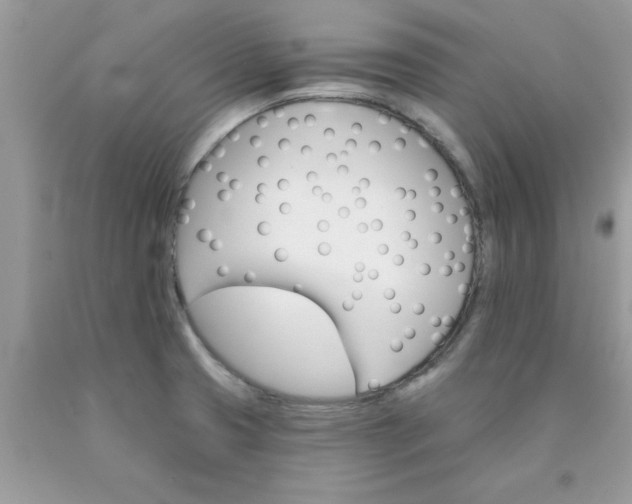 X0000090481425200707272310