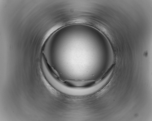 X0000090481426200707272310