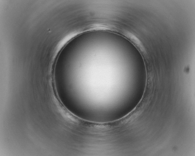 X0000090481427200707272310