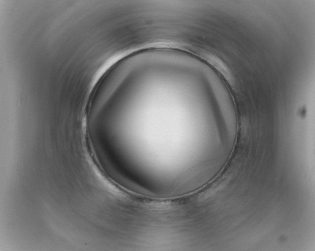 X0000090481428200707272310