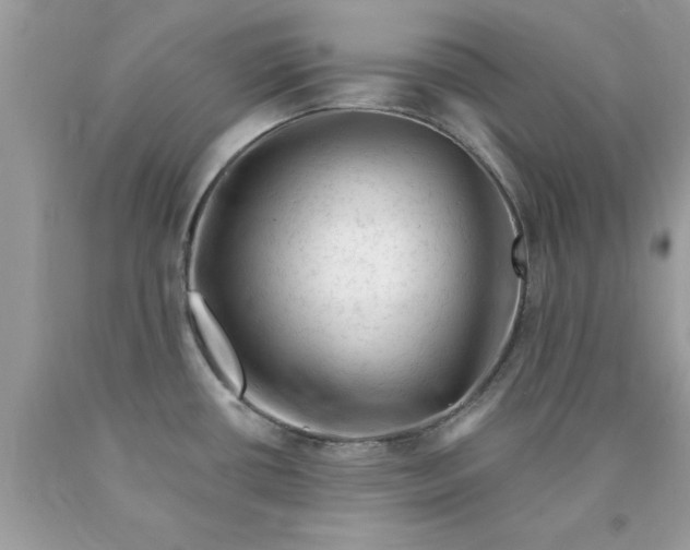 X0000090481434200707272310