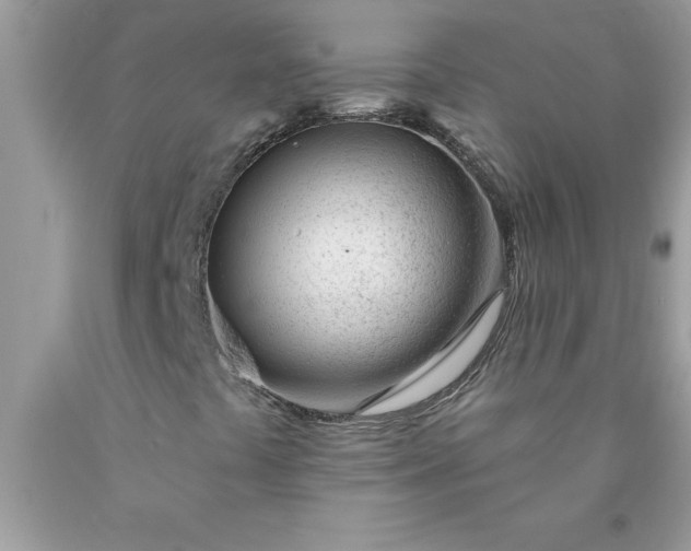 X0000090481441200707272309