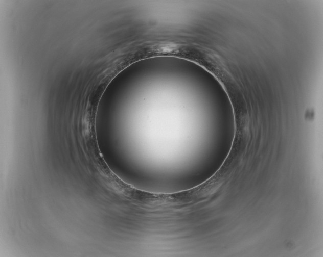 X0000090481442200707272309