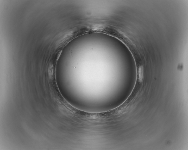 X0000090481443200707272309