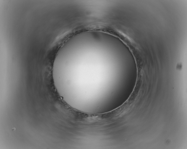 X0000090481447200707272309