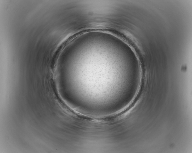 X0000090481449200707272309