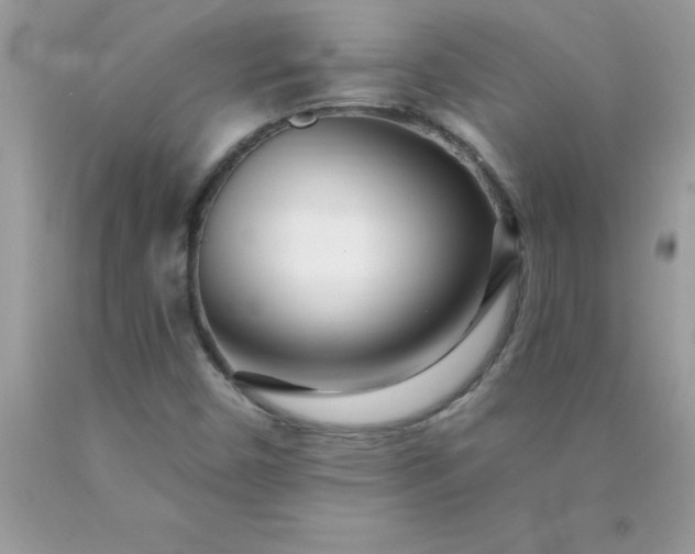 X0000090481450200707272309