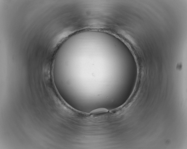 X0000090481451200707272309