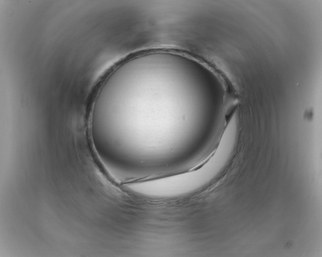 X0000090481452200707272309