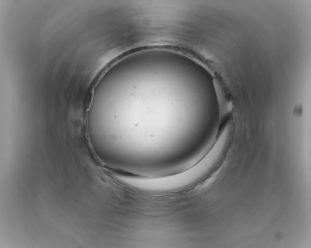 X0000090481457200707272309