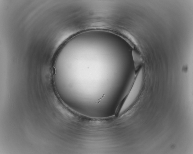 X0000090481458200707272309