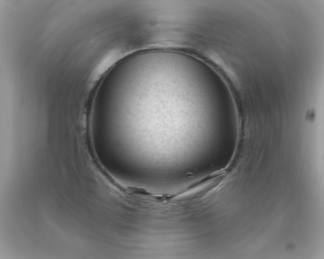 X0000090481459200707272309