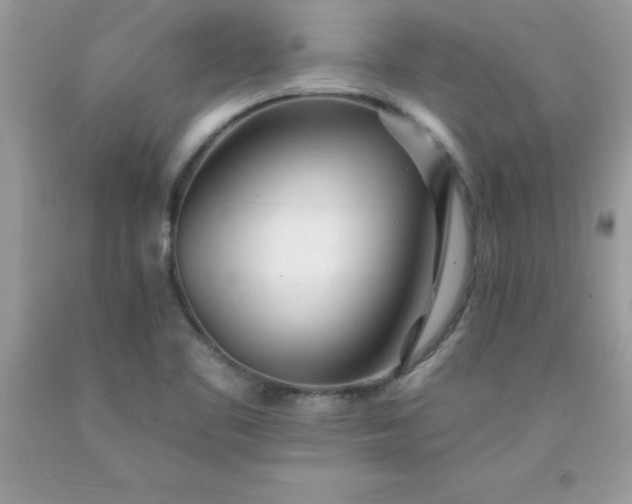 X0000090481461200707272309