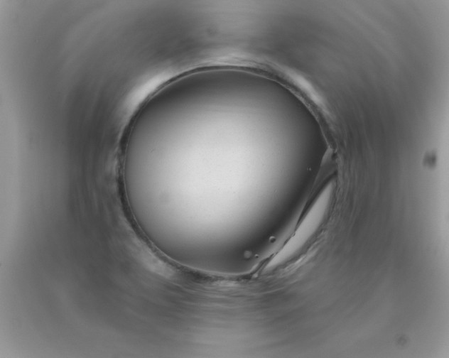 X0000090481463200707272309