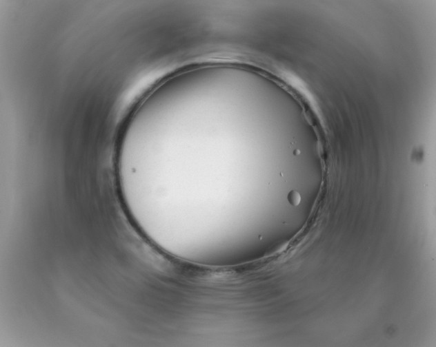 X0000090481464200707272309