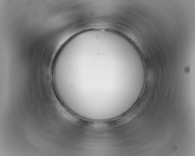 X0000090481466200707272309