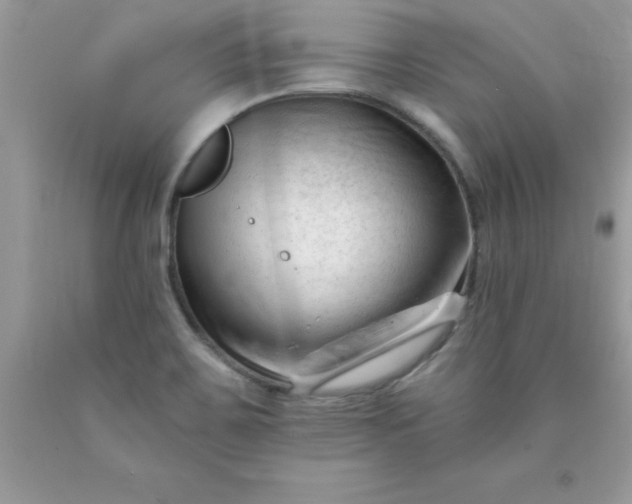 X0000090481467200707272309