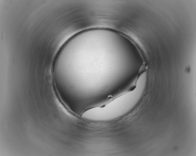 X0000090481468200707272309