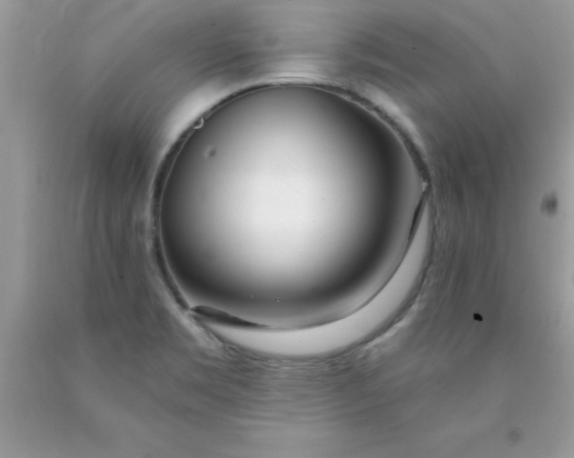 X0000090481469200707272309