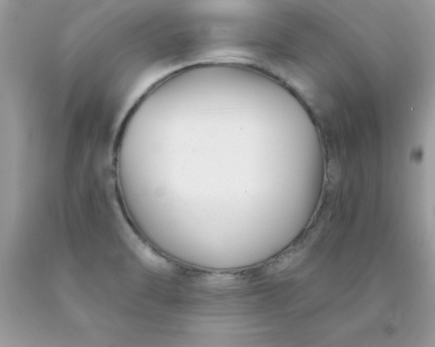 X0000090481470200707272309