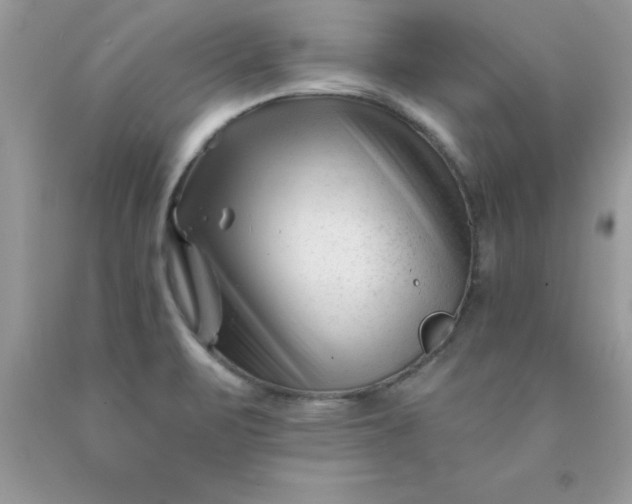 X0000090481471200707272309