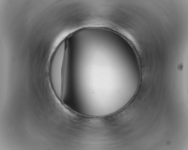 X0000090481472200707272309