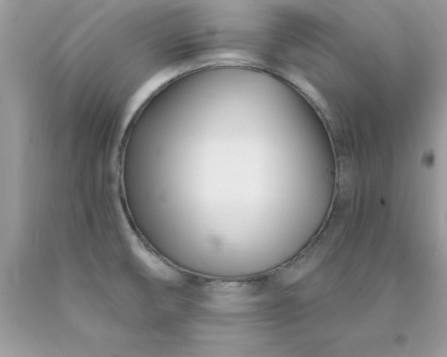 X0000090481474200707272309