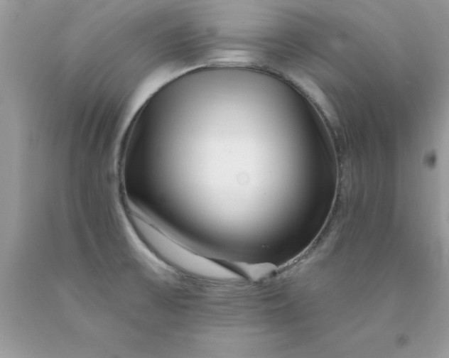 X0000090481475200707272309