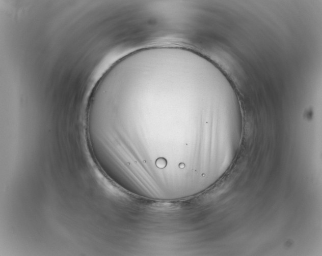 X0000090481478200707272309