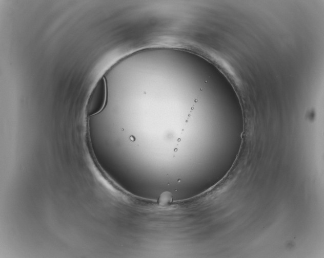 X0000090481479200707272309