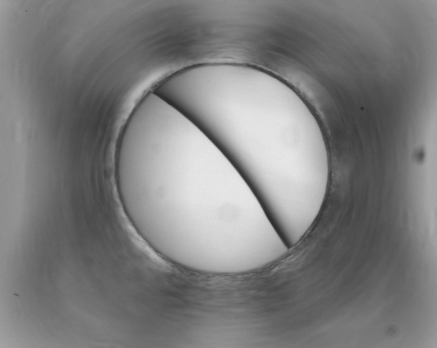 X0000090481480200707272308