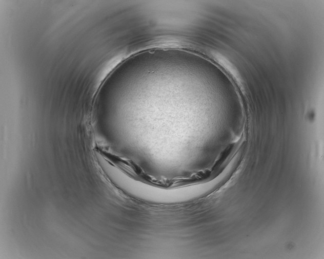 X0000090481481200707272308