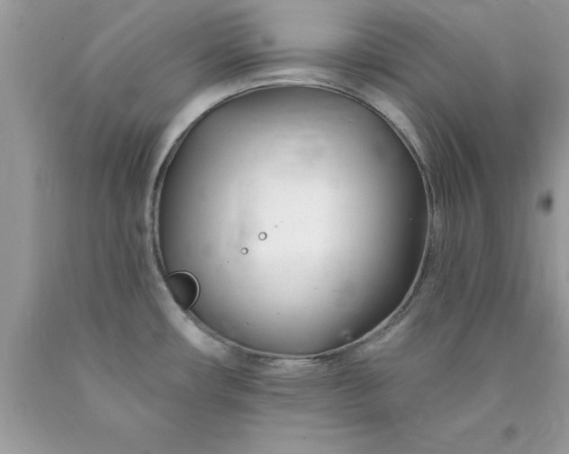 X0000090481482200707272308