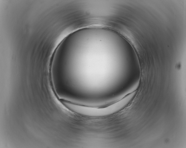 X0000090481483200707272308