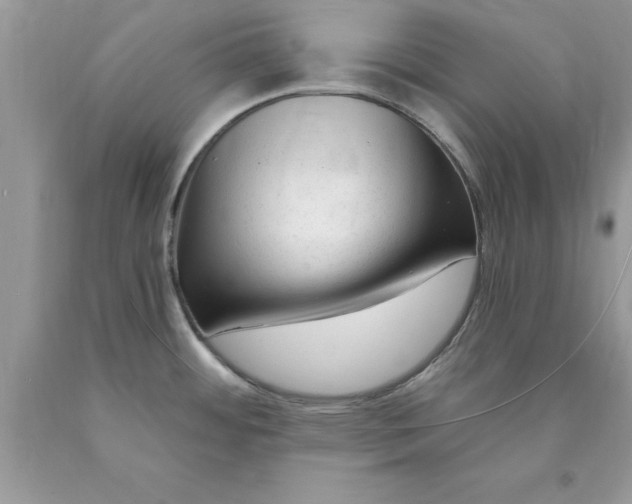 X0000090481484200707272308