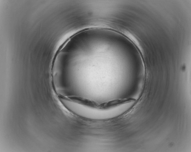 X0000090481485200707272308