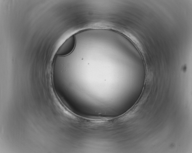 X0000090481486200707272308