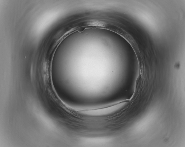 X0000090481487200707272308